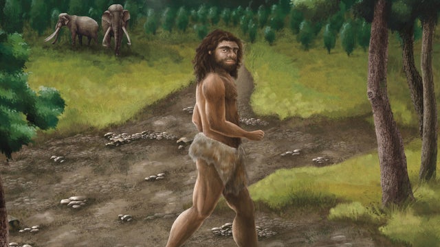 Human Ancestor-Taiwan